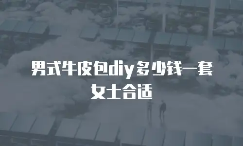 男式牛皮包diy多少钱一套女士合适