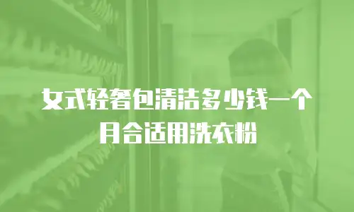 女式轻奢包清洁多少钱一个月合适用洗衣粉