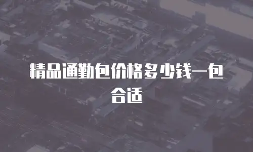 精品通勤包价格多少钱一包合适