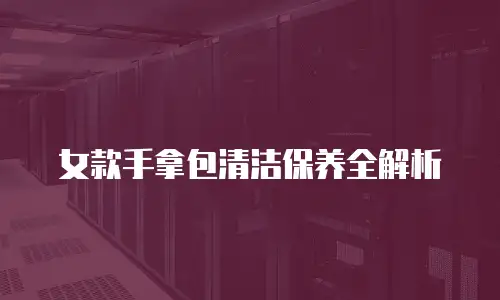 女款手拿包清洁保养全解析