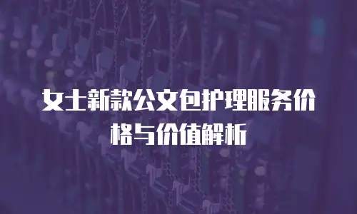 女士新款公文包护理服务价格与价值解析