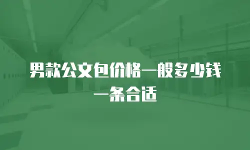 男款公文包价格一般多少钱一条合适