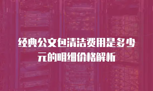 经典公文包清洁费用是多少元的明细价格解析