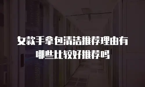 女款手拿包清洁推荐理由有哪些比较好推荐吗