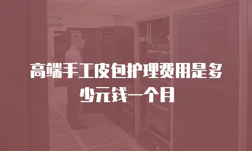 高端手工皮包护理费用是多少元钱一个月