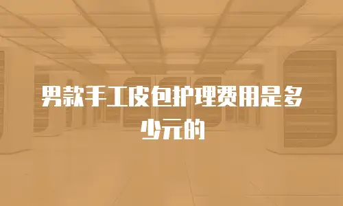 男款手工皮包护理费用是多少元的
