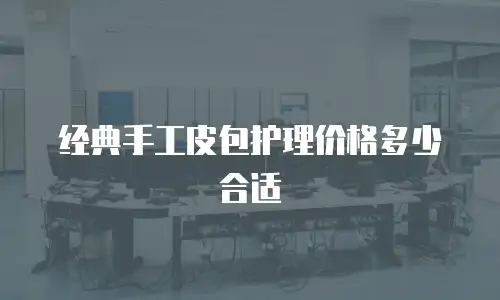 经典手工皮包护理价格多少合适