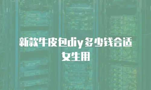 新款牛皮包diy多少钱合适女生用
