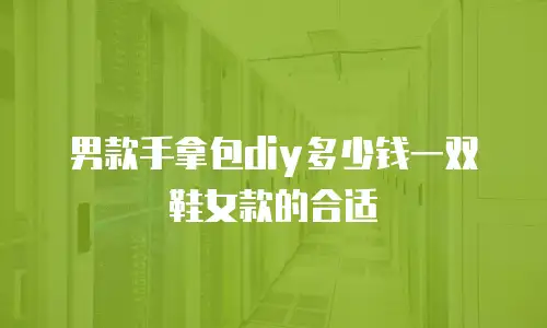 男款手拿包diy多少钱一双鞋女款的合适