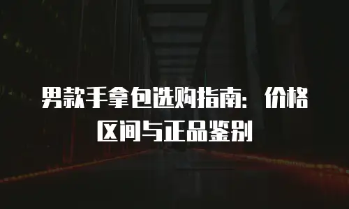 男款手拿包选购指南：价格区间与正品鉴别