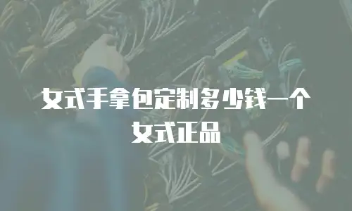 女式手拿包定制多少钱一个女式正品