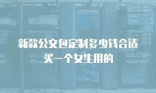 新款公文包定制多少钱合适买一个女生用的