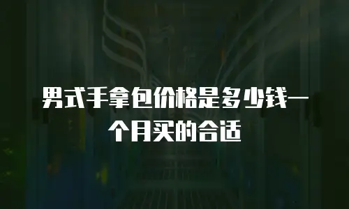 男式手拿包价格是多少钱一个月买的合适