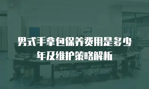 男式手拿包保养费用是多少年及维护策略解析