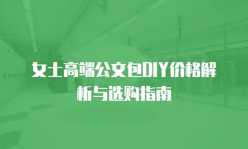 女士高端公文包DIY价格解析与选购指南