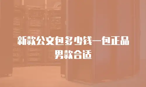 新款公文包多少钱一包正品男款合适