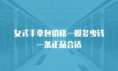 女式手拿包价格一般多少钱一条正品合适