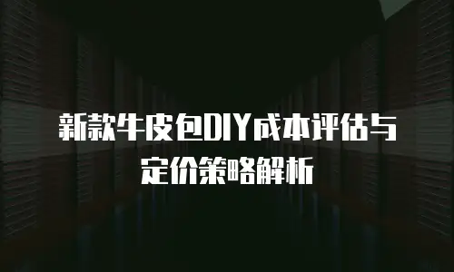 新款牛皮包DIY成本评估与定价策略解析