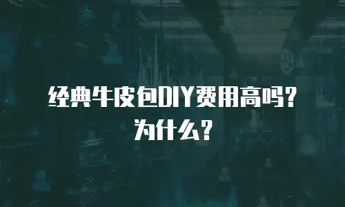 经典牛皮包DIY费用高吗？为什么？