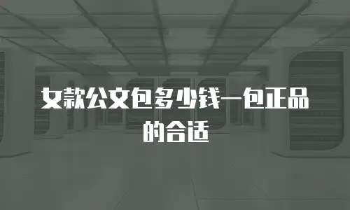 女款公文包多少钱一包正品的合适