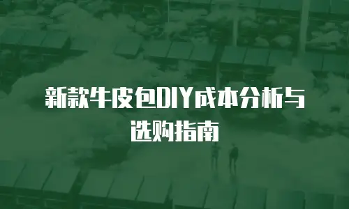 新款牛皮包DIY成本分析与选购指南