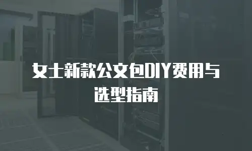 女士新款公文包DIY费用与选型指南
