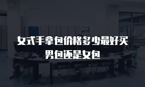 女式手拿包价格多少最好买男包还是女包
