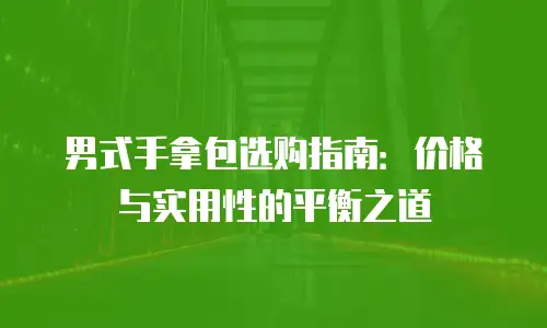 男式手拿包选购指南：价格与实用性的平衡之道