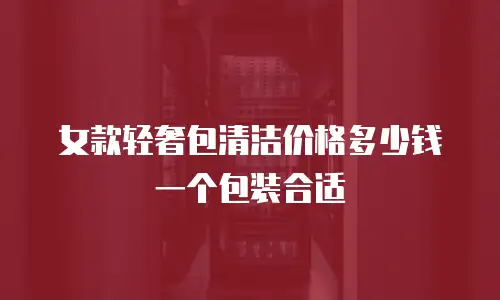 女款轻奢包清洁价格多少钱一个包装合适