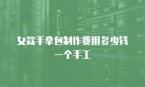 女款手拿包制作费用多少钱一个手工