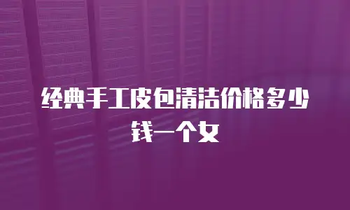 经典手工皮包清洁价格多少钱一个女