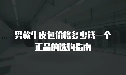 男款牛皮包价格多少钱一个正品的选购指南