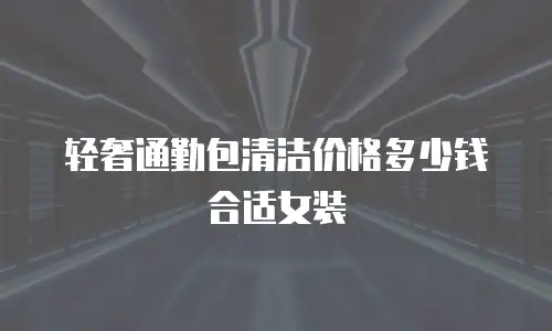轻奢通勤包清洁价格多少钱合适女装