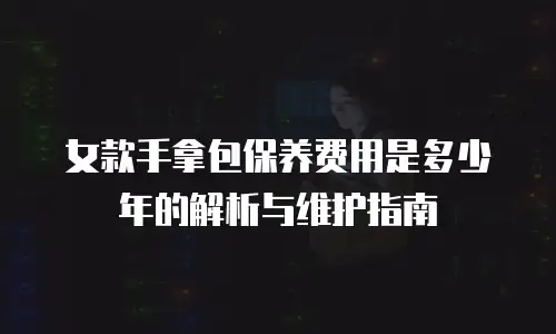 女款手拿包保养费用是多少年的解析与维护指南