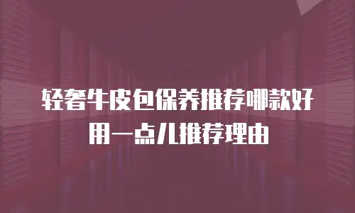 轻奢牛皮包保养推荐哪款好用一点儿推荐理由