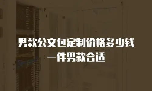 男款公文包定制价格多少钱一件男款合适