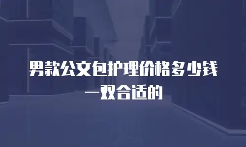 男款公文包护理价格多少钱一双合适的