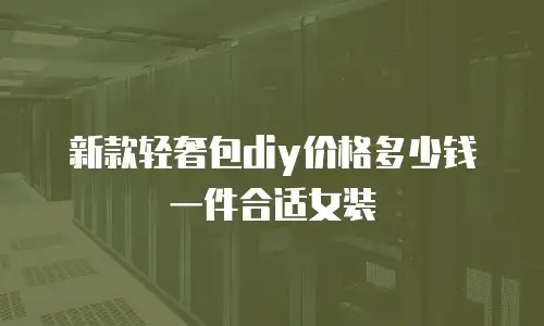 新款轻奢包diy价格多少钱一件合适女装