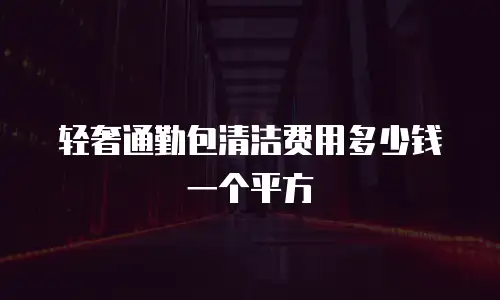 轻奢通勤包清洁费用多少钱一个平方