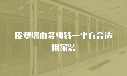 皮塑墙面多少钱一平方合适用家装