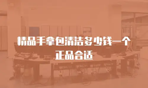 精品手拿包清洁多少钱一个正品合适