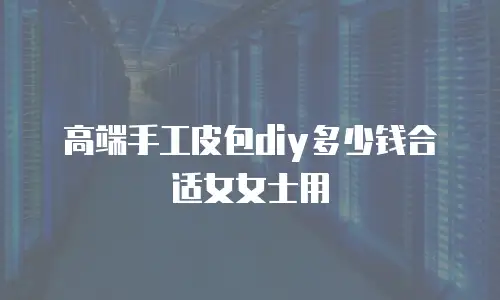 高端手工皮包diy多少钱合适女女士用