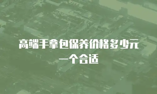 高端手拿包保养价格多少元一个合适