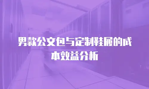 男款公文包与定制鞋履的成本效益分析