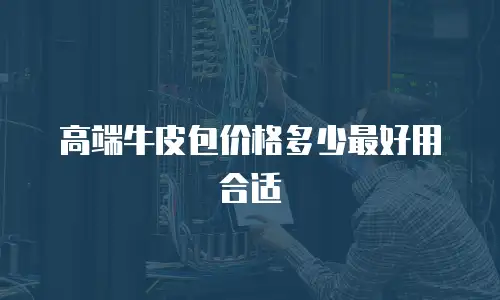 高端牛皮包价格多少最好用合适