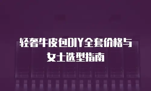 轻奢牛皮包DIY全套价格与女士选型指南