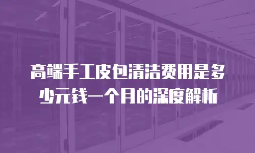 高端手工皮包清洁费用是多少元钱一个月的深度解析
