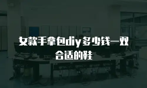 女款手拿包diy多少钱一双合适的鞋