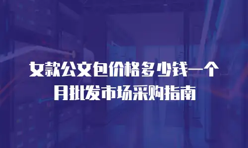 女款公文包价格多少钱一个月批发市场采购指南