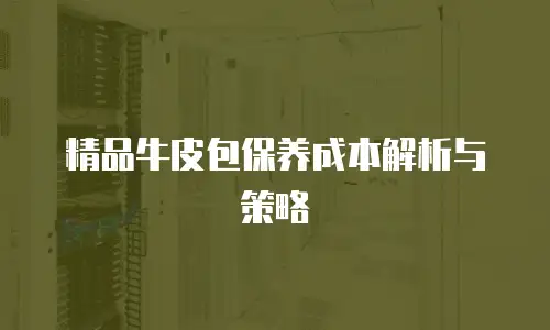 精品牛皮包保养成本解析与策略